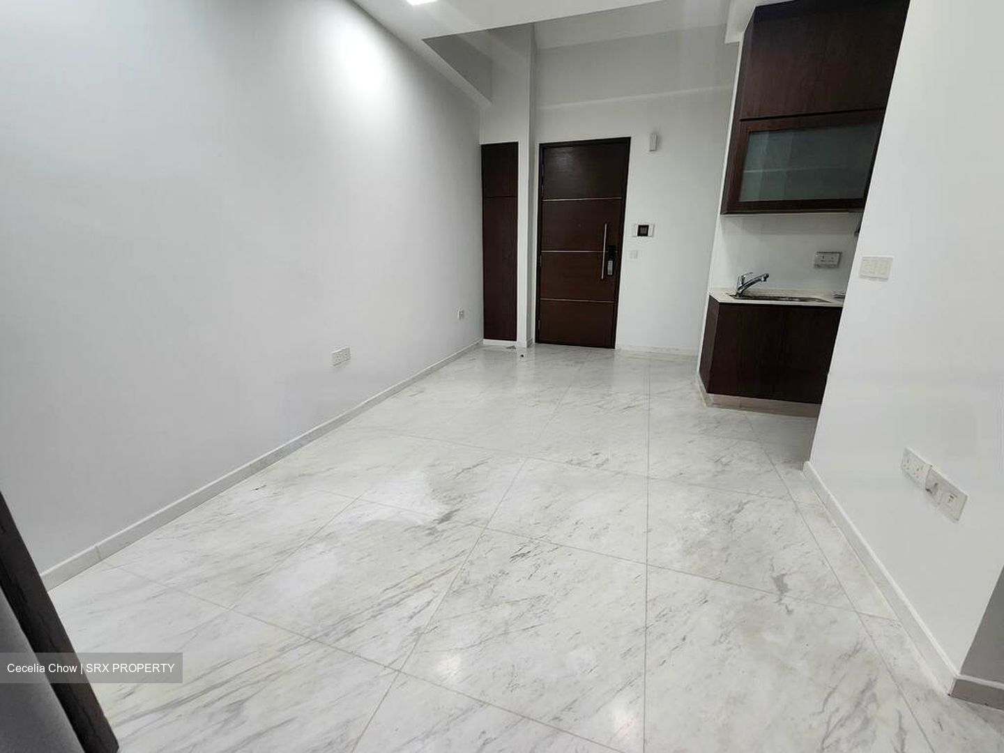 Wishart Road (D4), Condominium #519903691